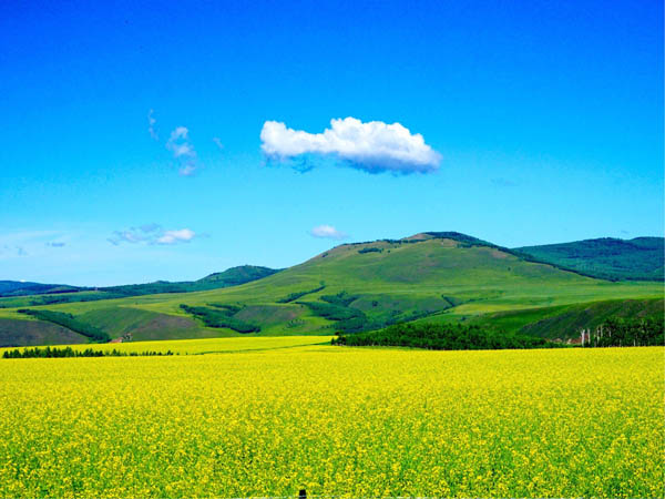 重慶市經(jīng)貿(mào)中等專業(yè)學(xué)校關(guān)于期末考試的有關(guān)規(guī)定